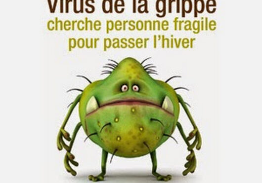 2013-11-15-virus-grippe