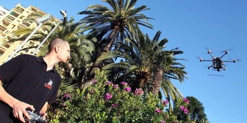 ©PHOTOPQR/NICE MATIN/ERIC DULIERE. 24/02/2014. Monaco On lutte contre l'invasion du charançon rouge avec des drones afin de larguer des produits spécifiques comme ici avec aux commandes Erwan Grimaud sur les grands palmiers malades de Fontvieille en Principauté de Monaco.