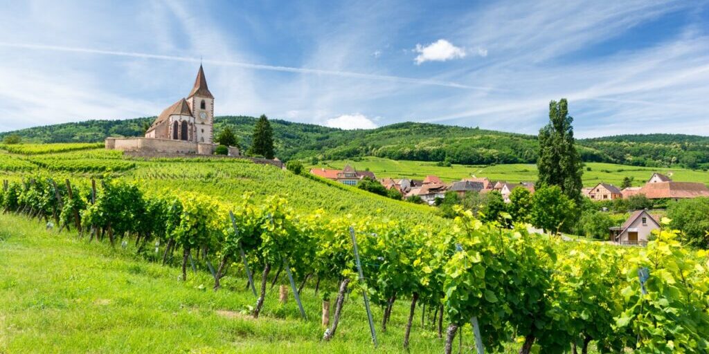 old church and vineyards in Hunawihr village in Alsace, France