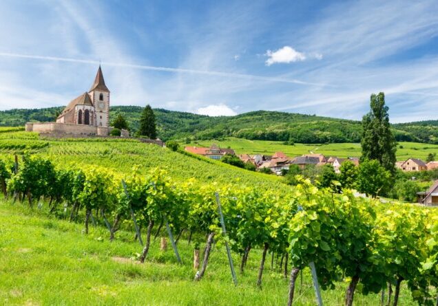 old church and vineyards in Hunawihr village in Alsace, France