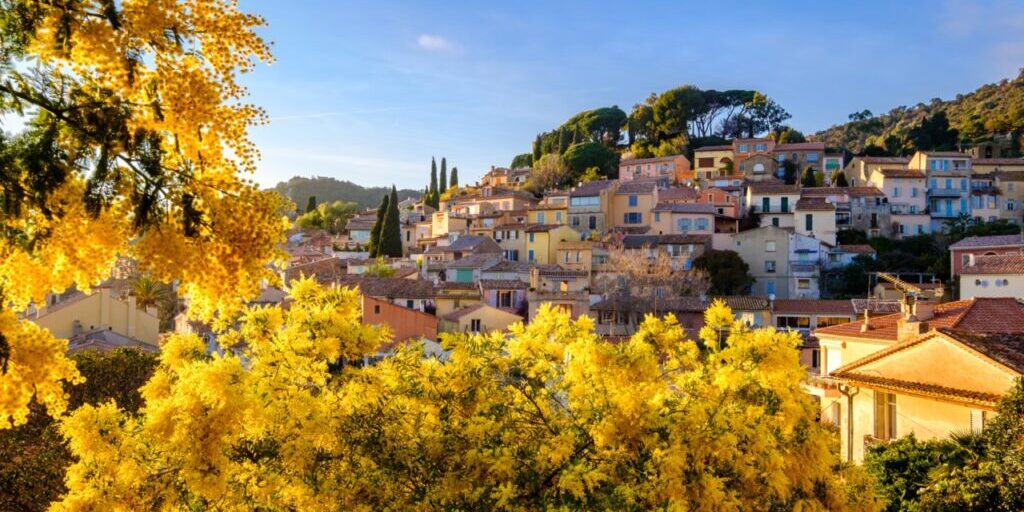 Vue panoramique sur le village de Bormes les Mimosas, Provence, France en hiver. Arbres de mimosas au premier plan.