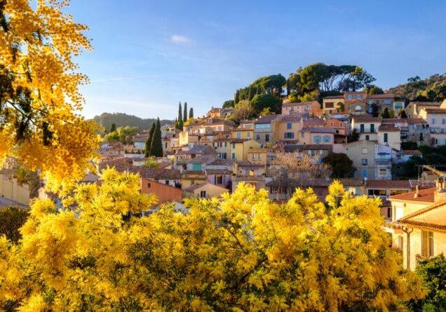 Vue panoramique sur le village de Bormes les Mimosas, Provence, France en hiver. Arbres de mimosas au premier plan.