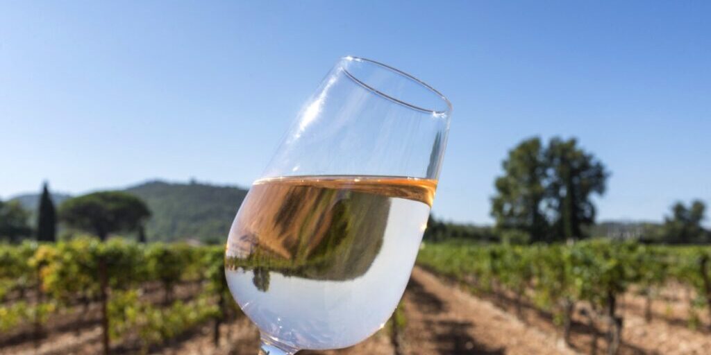 Verre de rosé devant une vigne