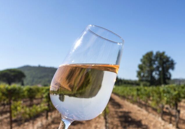 Verre de rosé devant une vigne