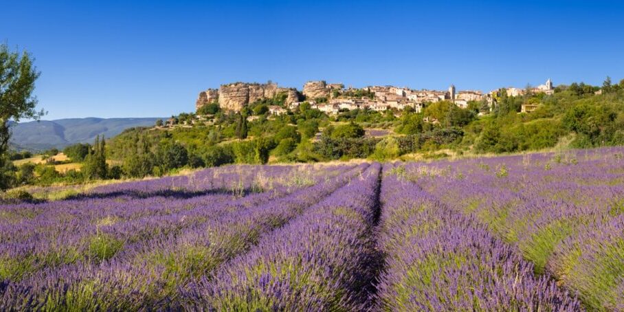 The Provence hilltop perched village of Saignon with lavender field in summer. Luberon Regional Park, Vaucluse, France