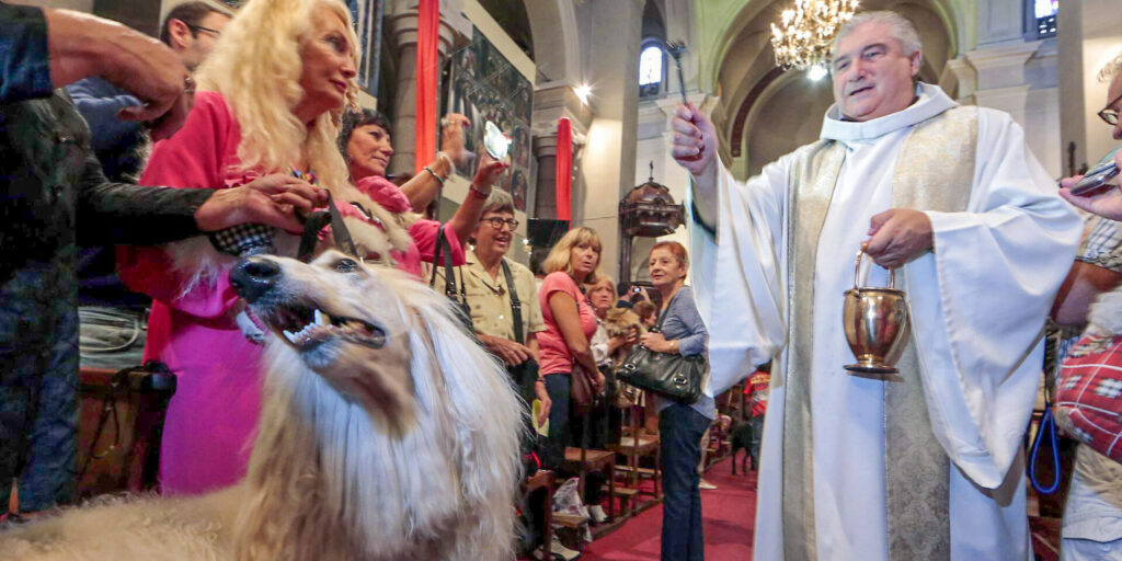 Father Gil Florini blesses a dog during a mass to honour Saint Francis of Assisi at the Saint Pierre D'Arene church in Nice