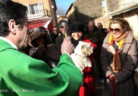 ©PHOTOPQR/NICE MATIN/Philippe arnassan
AUPS LE 26 01 2014 ; fete de la truffe  Aups
demonstrations de chiens truffiers, de truie truffière, benediction de animaux