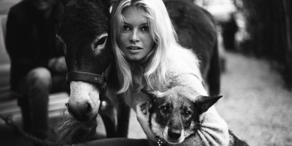 exposition-brigitte-bardot-par-ghislain-dussart_6948534_8