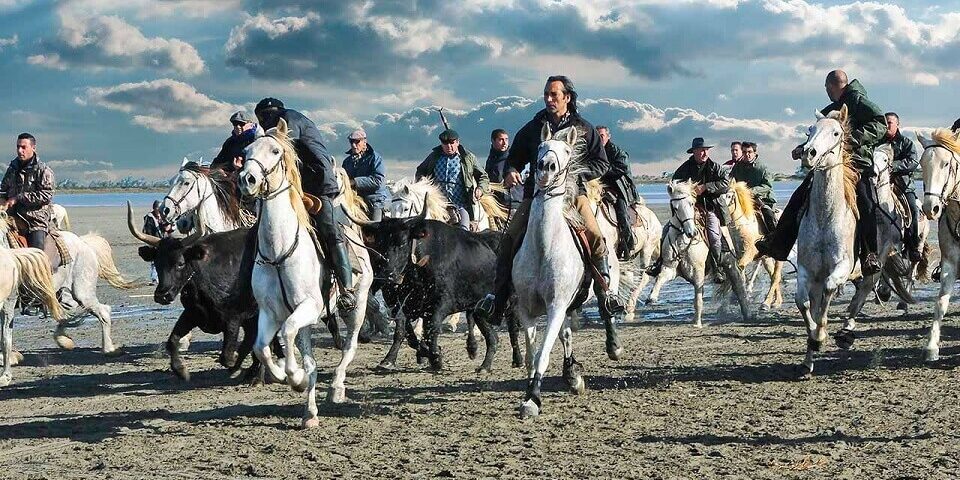 festival-abrivado-des-plages-saintes-maries-camargue-une (1)